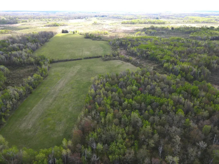 TBD 180th Avenue, Williams, MN 56350 - #2
