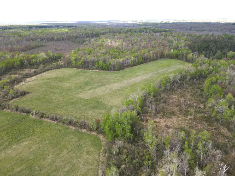 TBD 180th Avenue, Williams, MN 56350 - #3