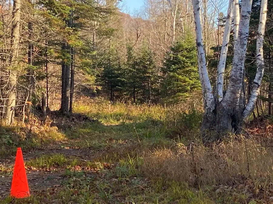 5121 Mount Rockwood Road, Silver Bay, MN 55614 - #2