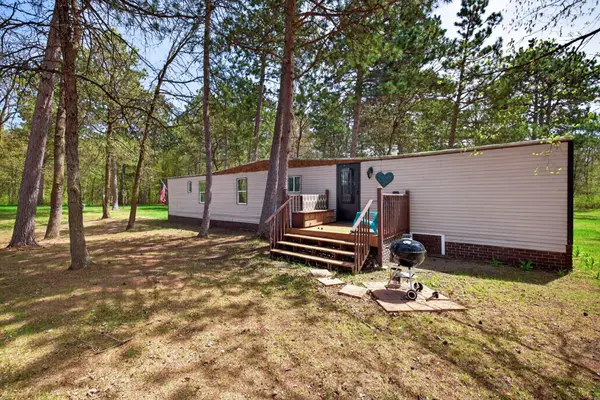 12905 Buckhorn Trail, Menahga, MN 56464