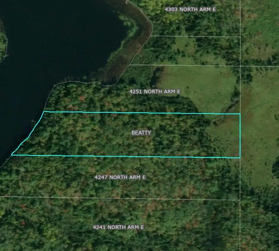 TBD North Arm Elbow Lake E, Cook, MN 55723 - #3