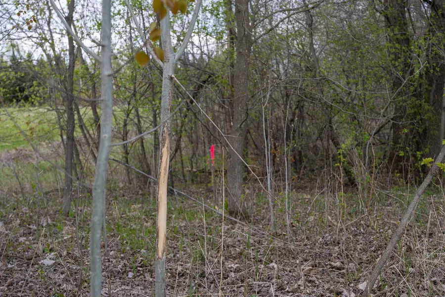 Parcel A - 20AC 465th Street, Harris, MN 55032 - #3