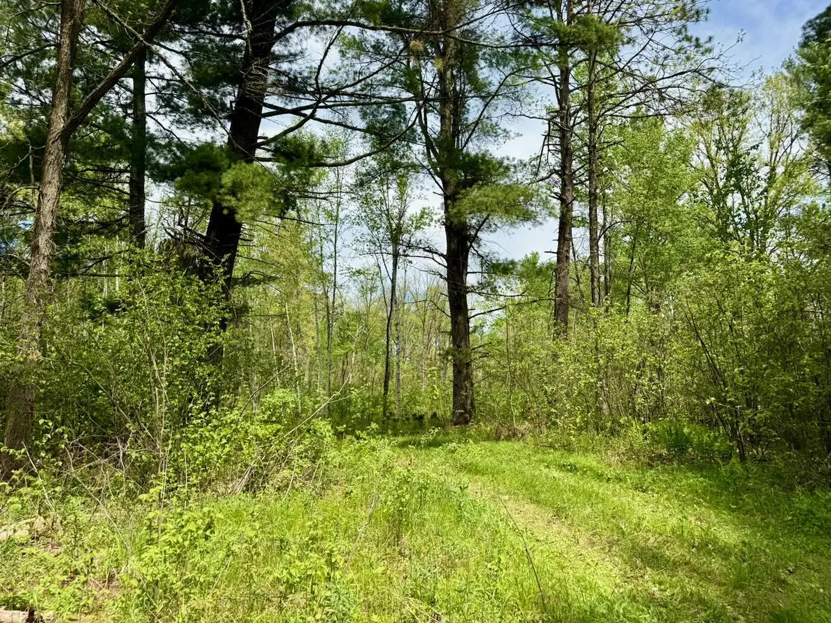 XYZ County Road 39, Willow River, MN 55795 - #1