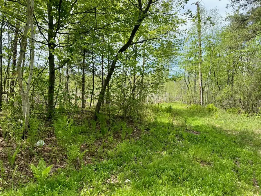 XYZ County Road 39, Willow River, MN 55795 - #3