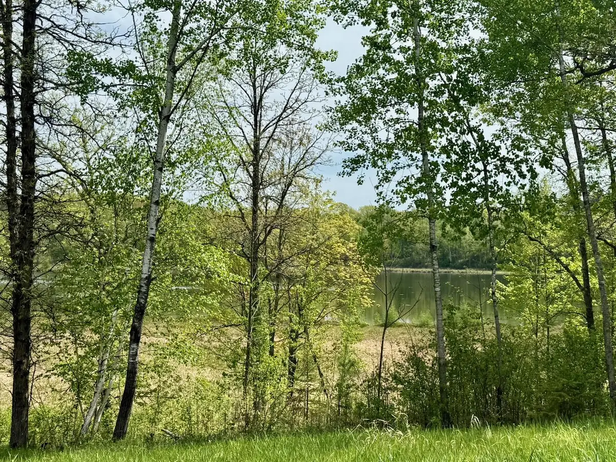 XYZ Dailey Lake Road, Willow River, MN 55795 - #1