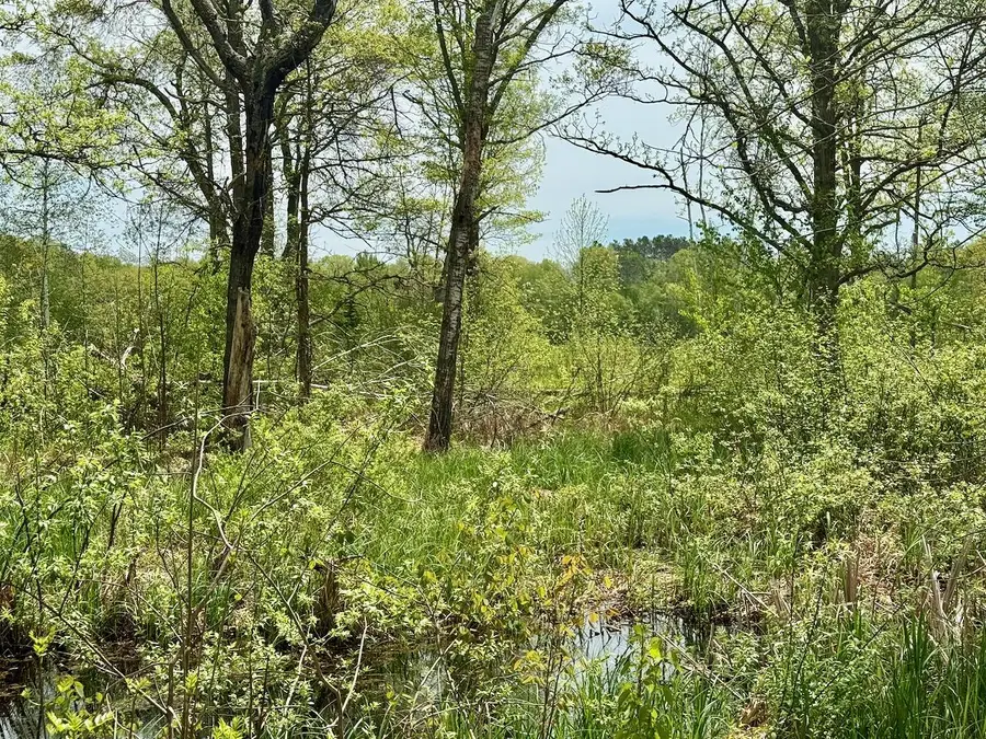 XYZ Dailey Lake Road, Willow River, MN 55795 - #3