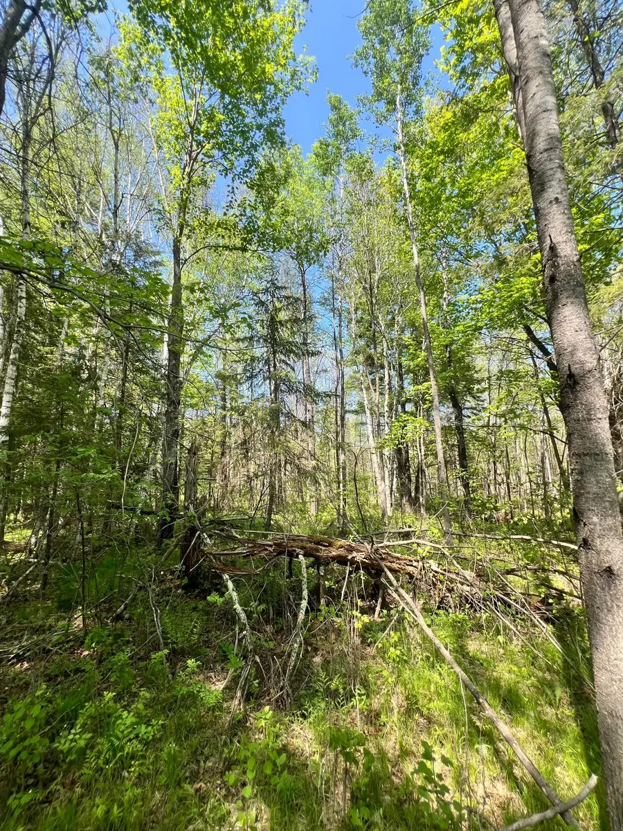TBD County Rd 67, Grand Rapids, MN 55744 - #2
