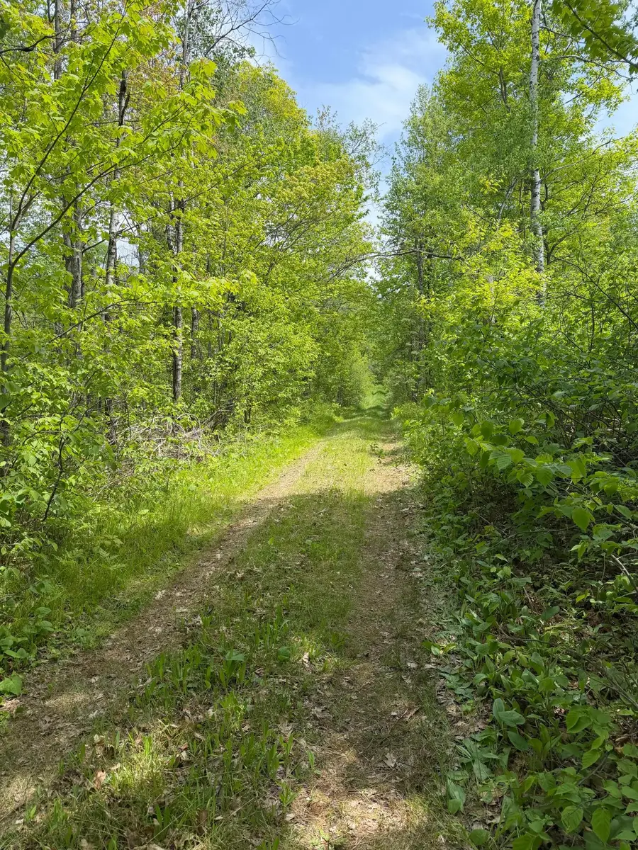 TBD Range Line Rd, Kerrick, MN 55756 - #2