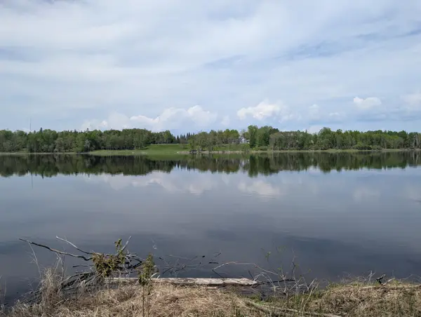 TBD Town Road 117, Baudette, MN 56623