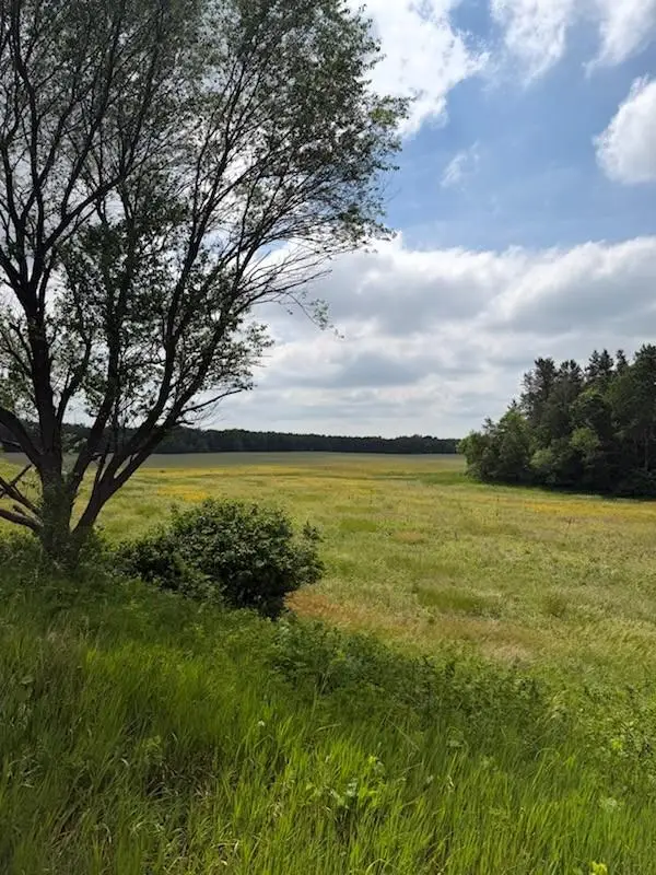 Lot 2 County Rd F, Boyceville, WI 54725 - #2