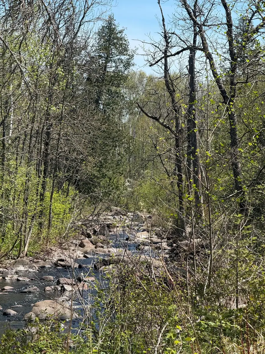 TBD Crown Creek Spur Rd, Finland, MN 55603 - #3