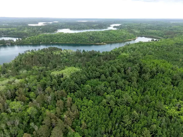 TBD 290th Street, Park Rapids, MN 56470