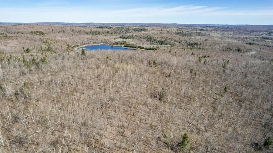 TBD Mountain Home Tr, Little Marais, MN 55614 - #3