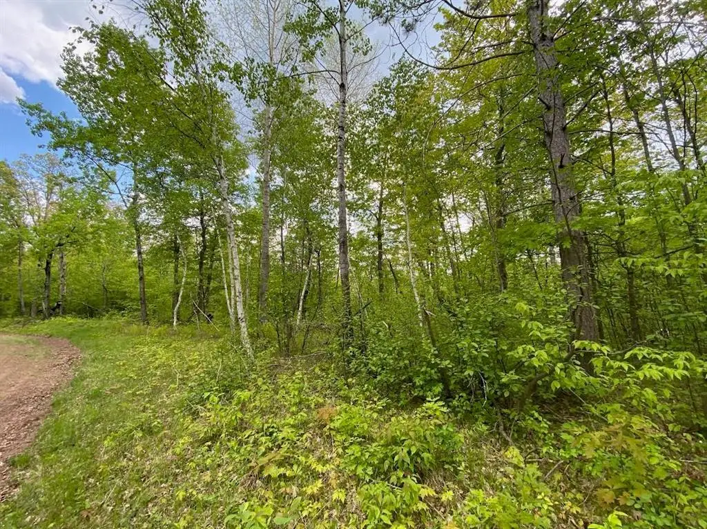 Lot 9 Hustvet, Chicog, WI 54888 - #1