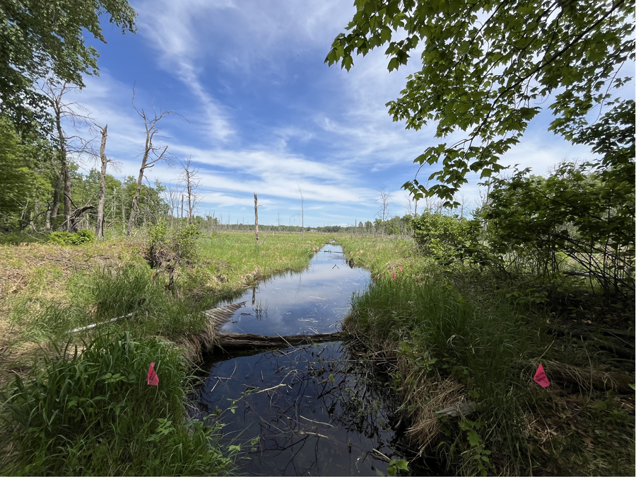 13384 Sorenson Lake Road, Merrifield, MN 56465 - #2