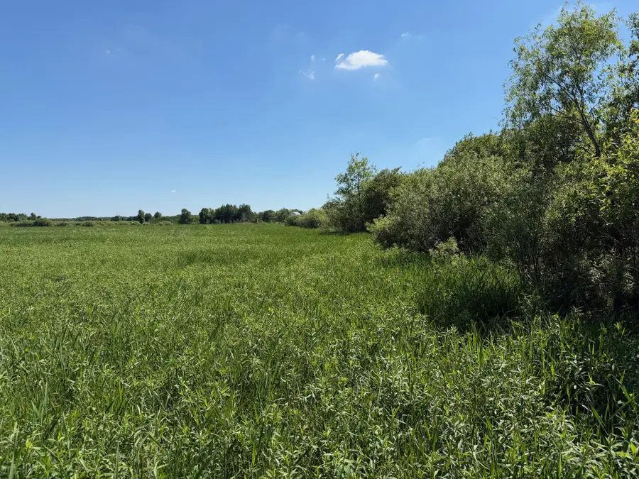 16698 130th Street, Foreston, MN 56330 - #3