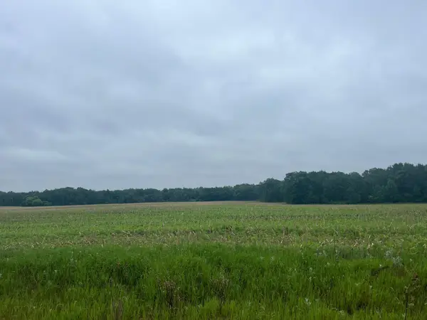 TBD (Lot 3) Hemingway Avenue, North Branch, MN 55056