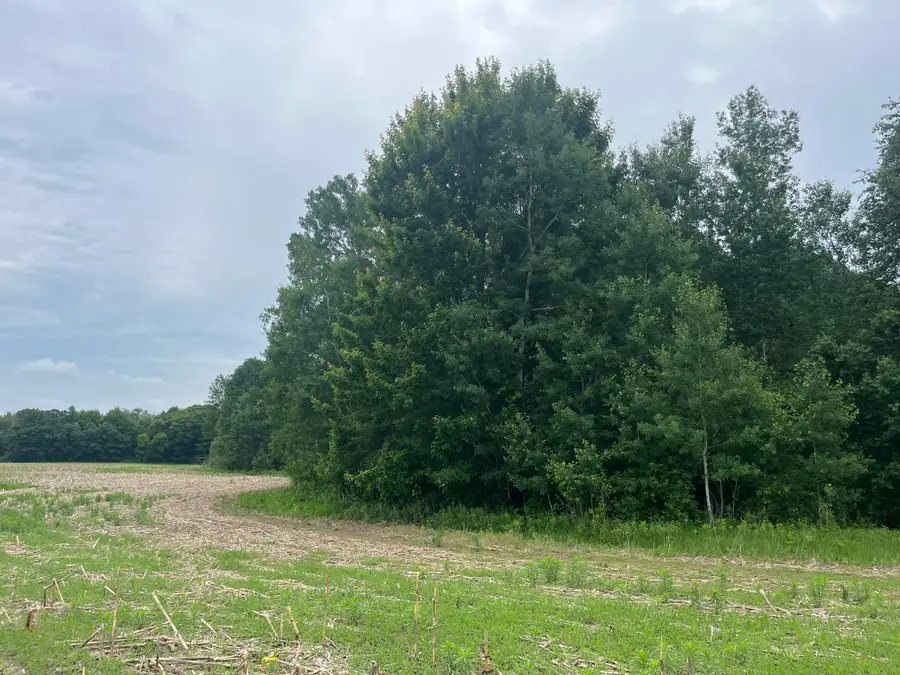 TBD (Lot 3) Hemingway Avenue, North Branch, MN 55056 - #2