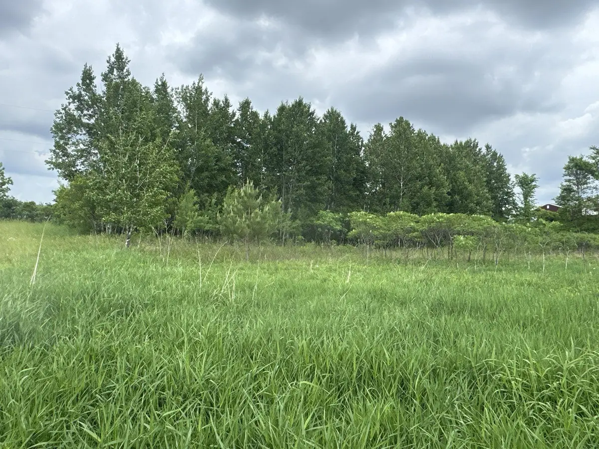 TBD 10 1/2 Avenue, Clayton, WI 54004 - #1