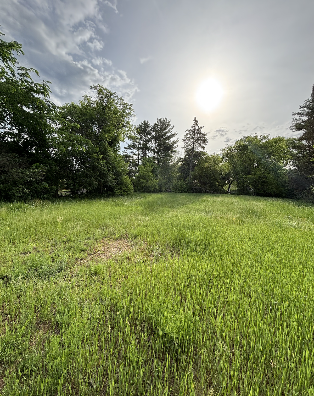 524 2nd Street N, Pine River, MN 56474 - #1