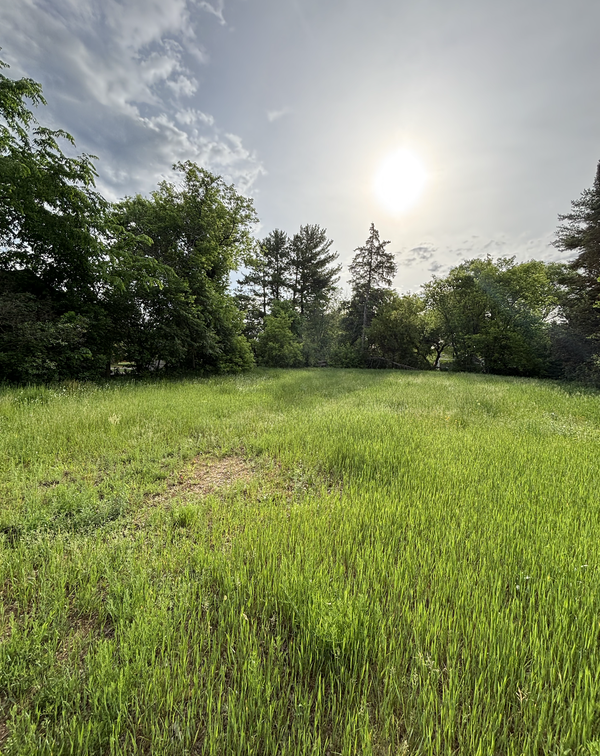 524 2nd Street N, Pine River, MN 56474