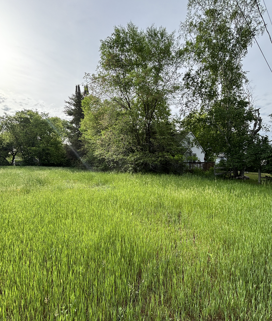 524 2nd Street N, Pine River, MN 56474 - #3