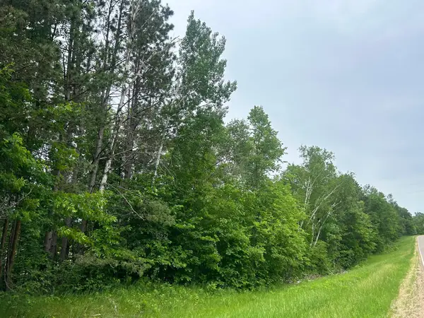 TBD County Rd 16, Cushing, MN 56443