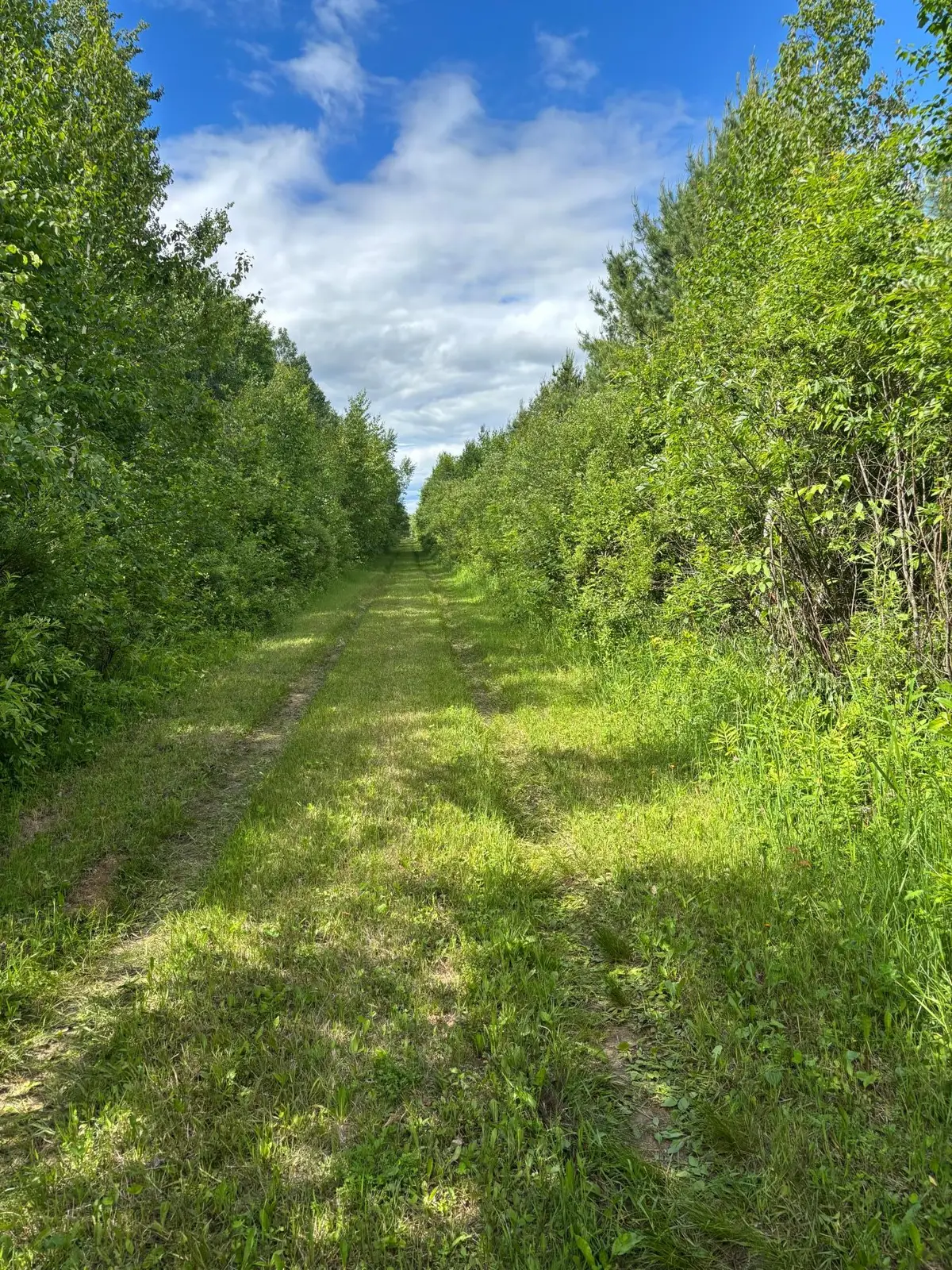 10750 Groningen Road, Sandstone, MN 55072 - #1