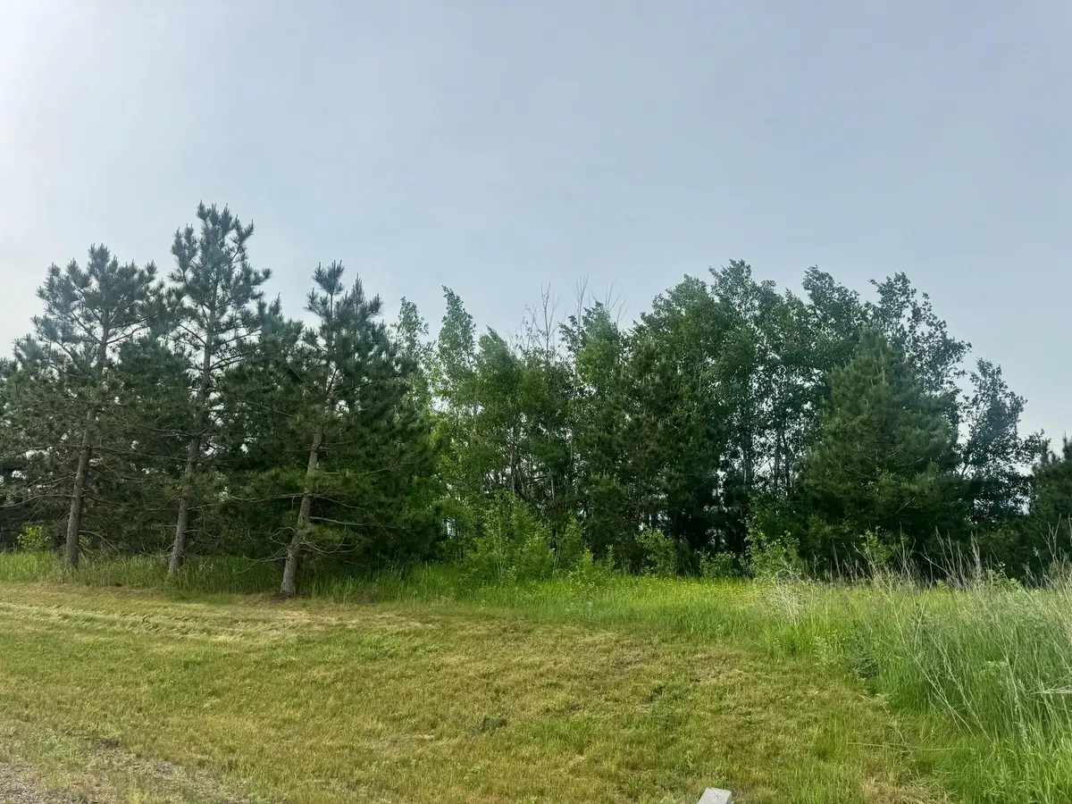 TBD Tract 3 County 13, Nevis, MN 56467 - #1