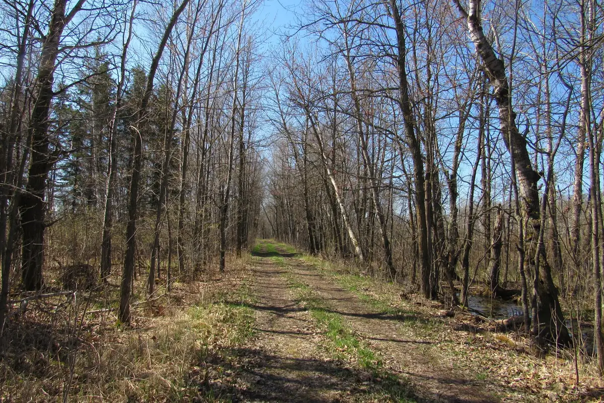 TBD-1 County Road 41, Willow River, MN 55795 - #1