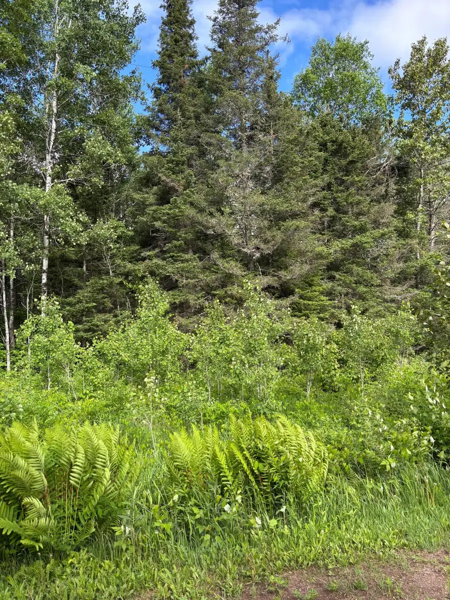 XXX Town Line Road, Brimson, MN 55602 - #3