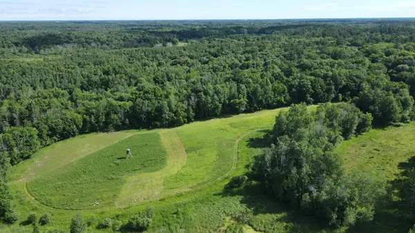 37102 Grandy Pines Road Ne, Stanchfield, MN 55080