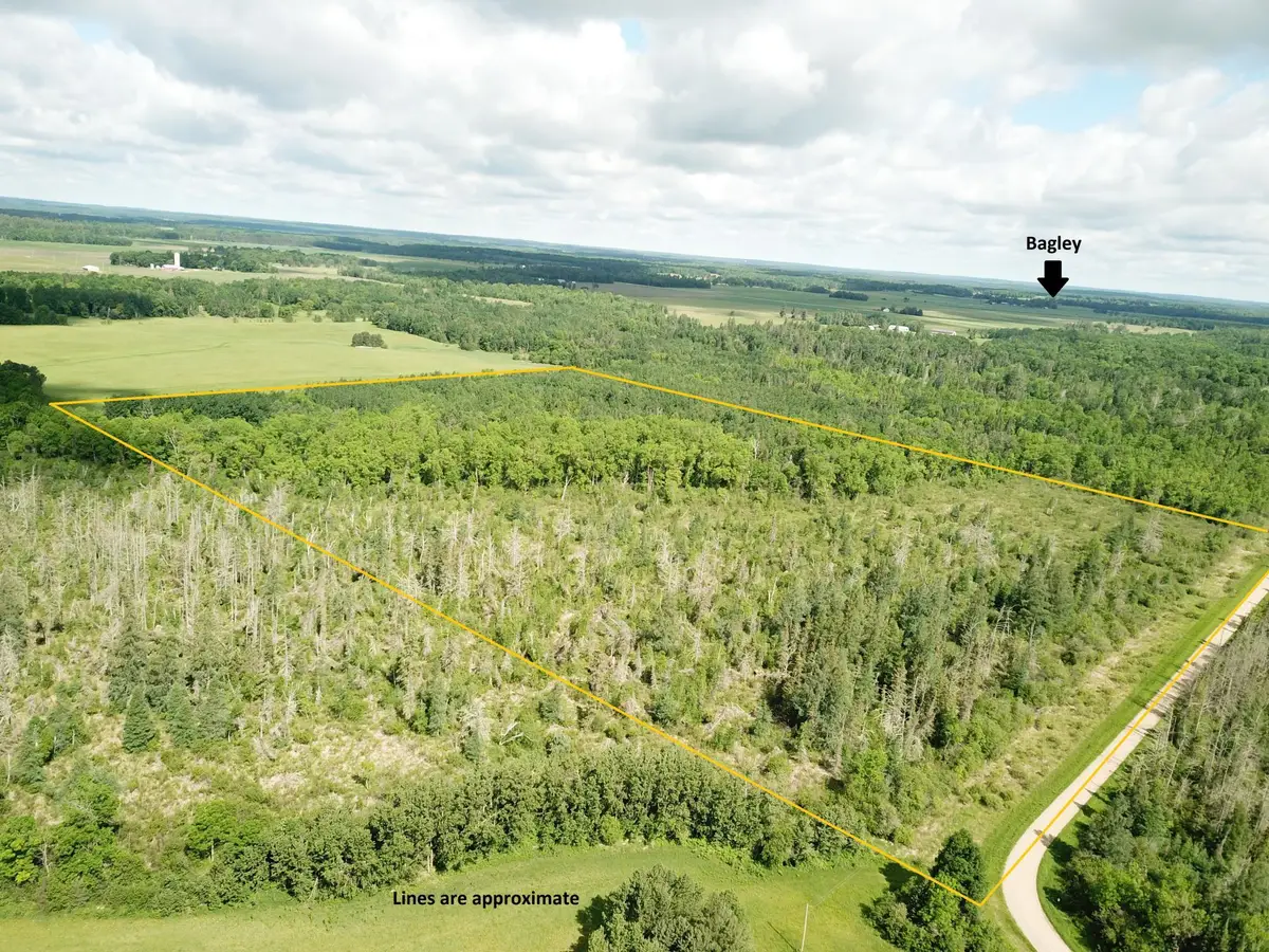 TBD1 Mud Lake Road, Bagley, MN 56621 - #1