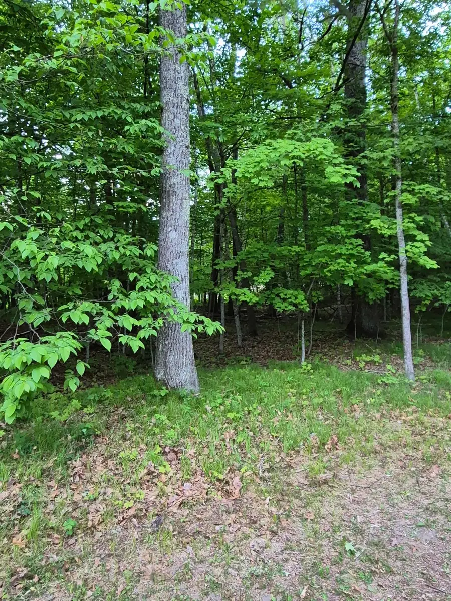 TBD, Lots 310, 353, and 3 195th Place, McGregor, MN 55760 - #2