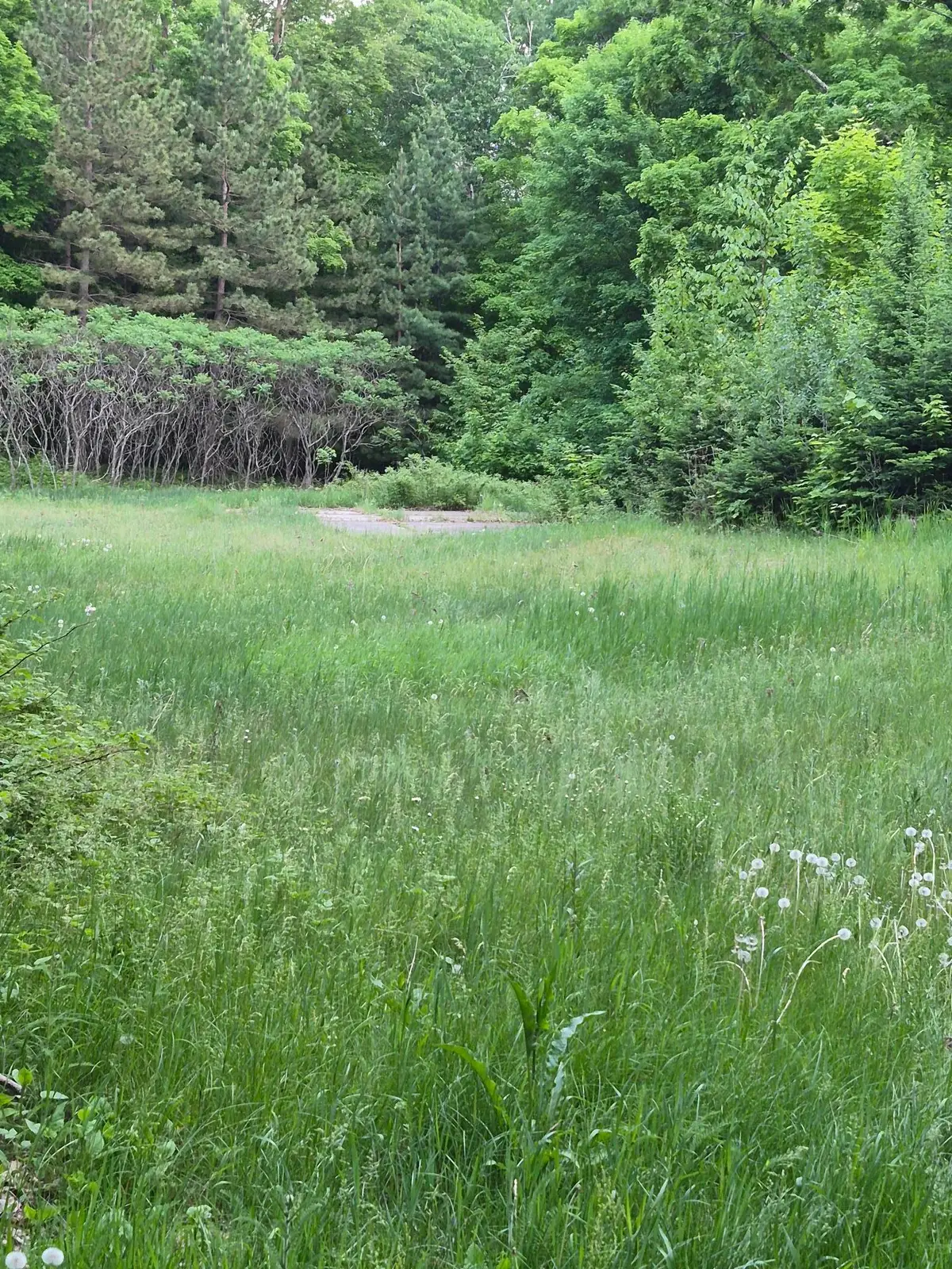 TBD Lots 313, 350, 351 195th Place, McGregor, MN 55760 - #1