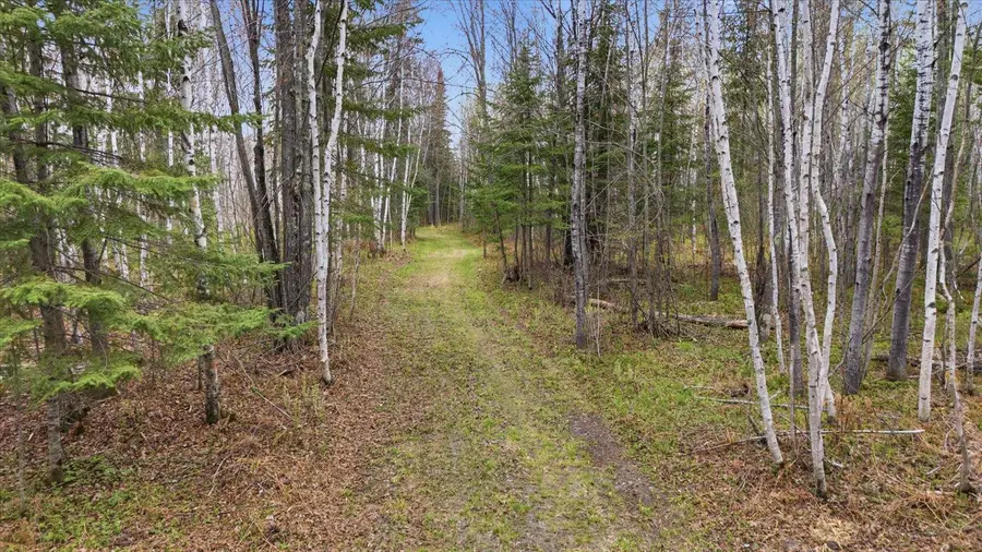 TBD Hwy 73, Floodwood, MN 55736 - #2