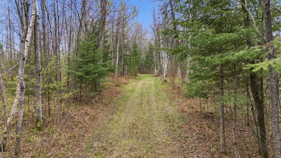 TBD Hwy 73, Floodwood, MN 55736 - #3