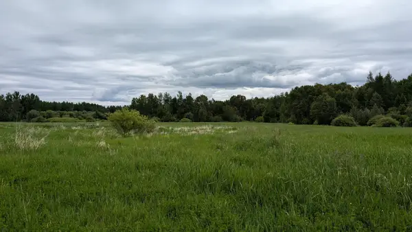 10211 Leander Road, Angora, MN 55703