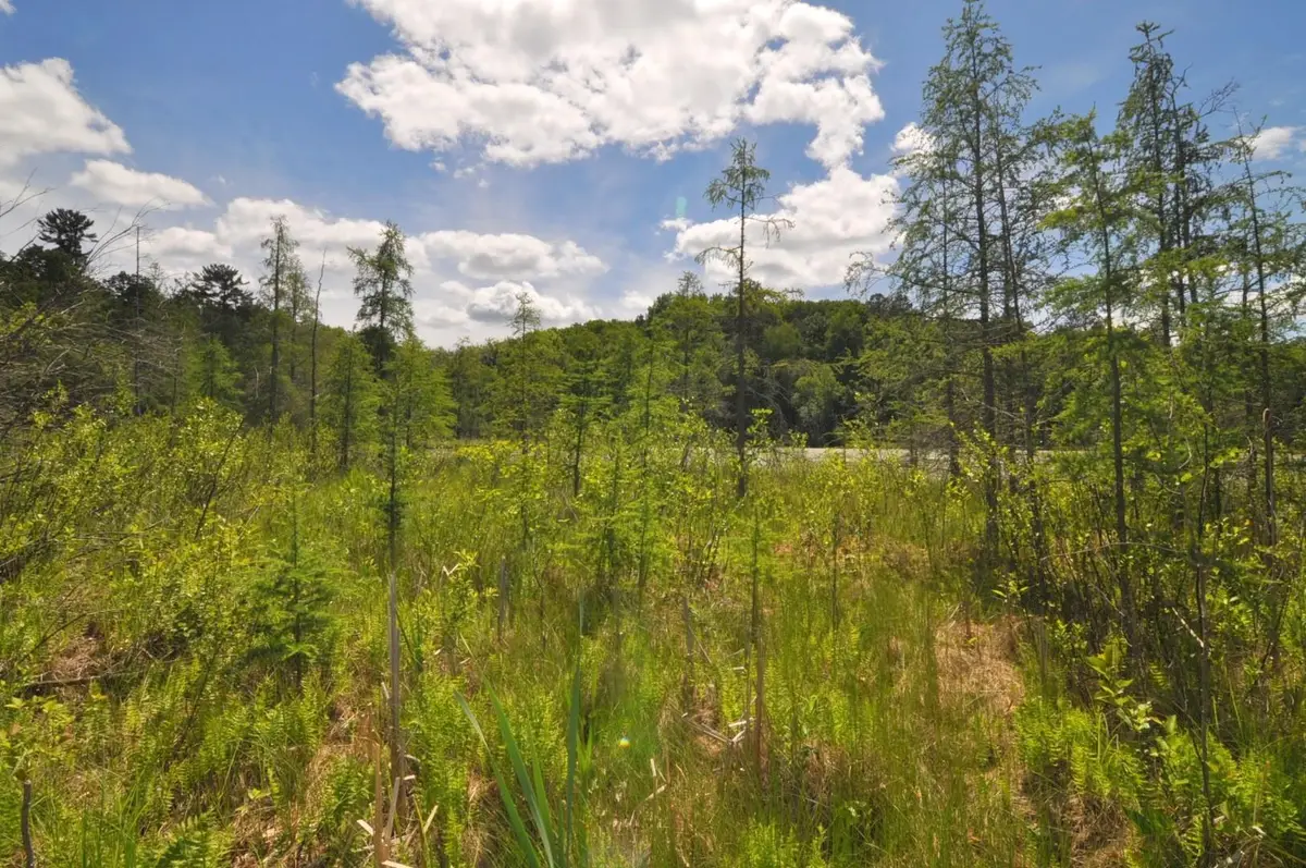 Lot 2 Evening Vista Trail Nw, Akeley, MN 56433 - #1