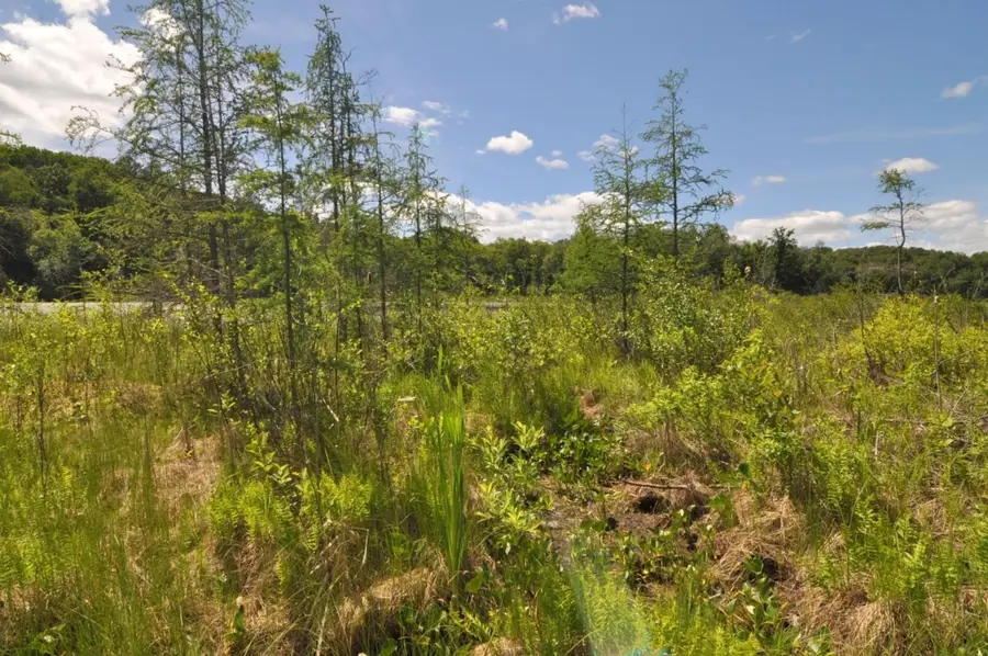 Lot 2 Evening Vista Trail Nw, Akeley, MN 56433 - #2