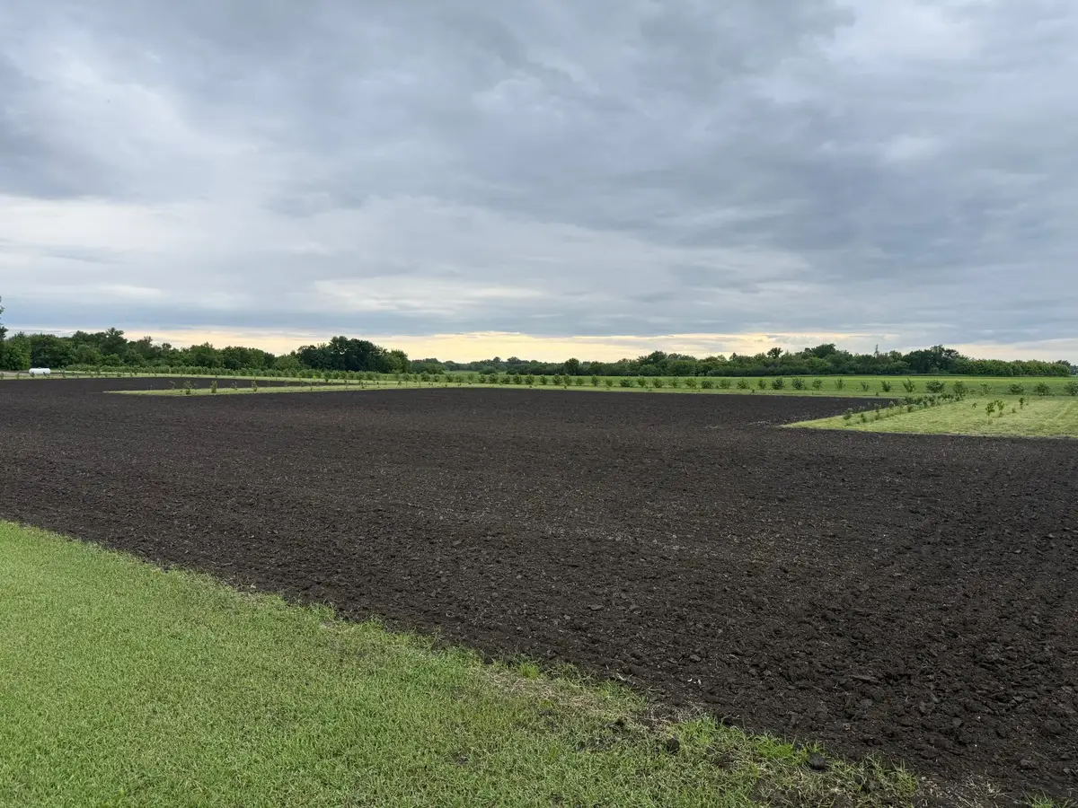 TBD County Road 15, Minto, ND 58261 - #1