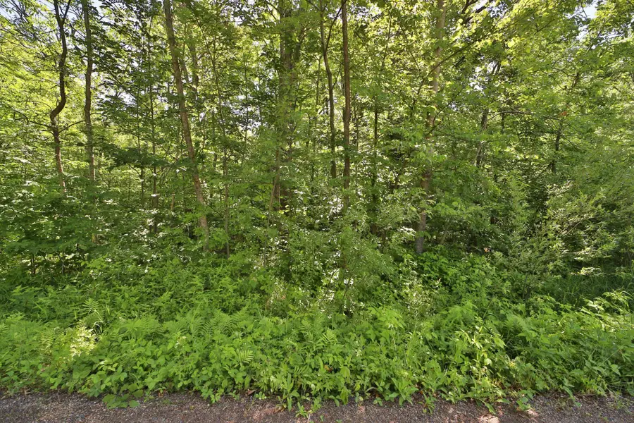 TBD Meander Way, Garrison, MN 56450 - #2