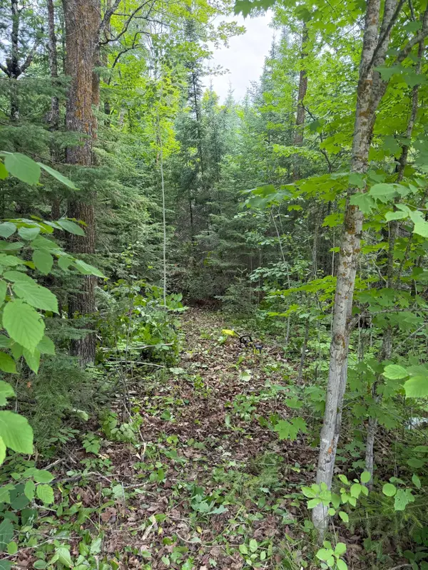Lot 2 S Gull Lake Rd Sw, Tenstrike, MN 56647