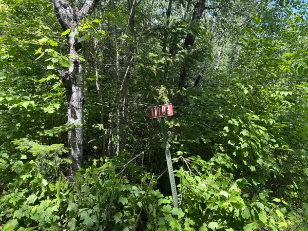 11703 Jacobs Road, Orr, MN 55771