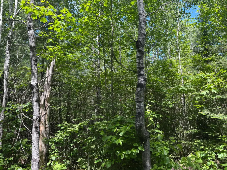 11703 Jacobs Road, Orr, MN 55771 - #2