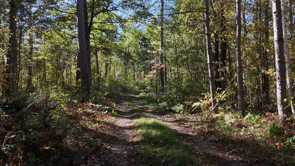 TBD BB Mann Road, Spooner, WI 54801