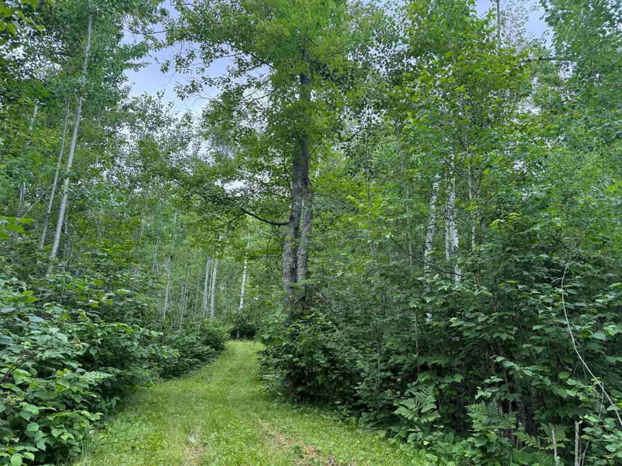 58059 Wolf Creek Road, Sandstone, MN 55072 - #2