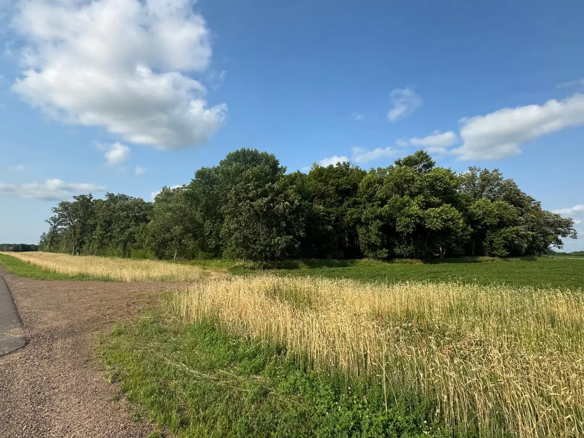 xxx 165th Avenue Ne, Foley, MN 56329 - #1