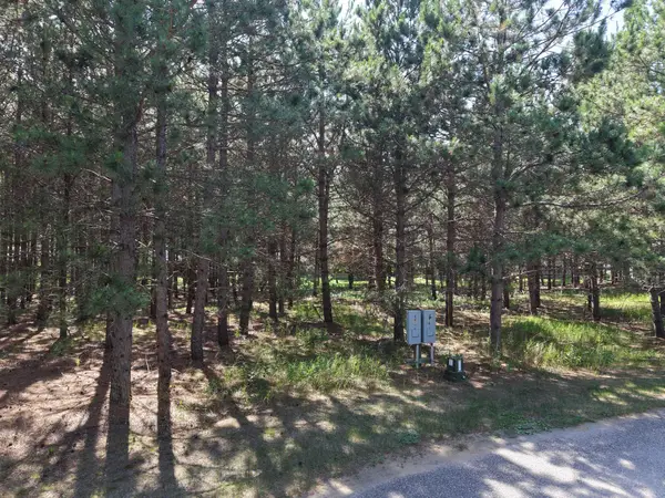 1005 Ladyslipper, Unit 16 Lane, Park Rapids, MN 56470