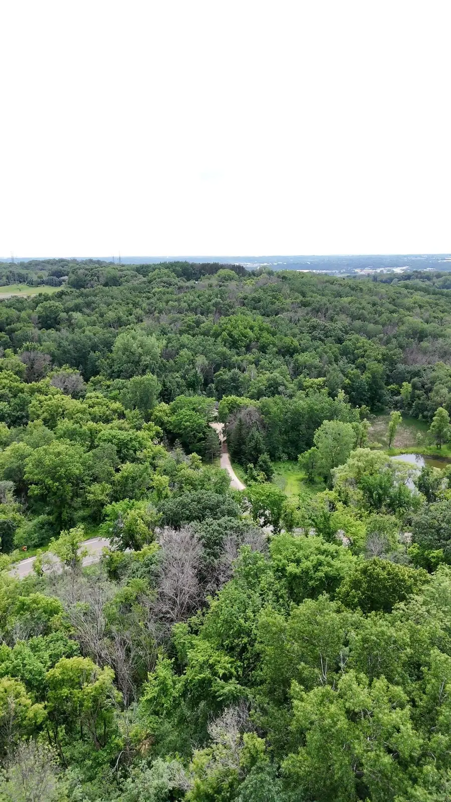 2685 Carver Avenue E, Saint Paul, MN 55119 - #2